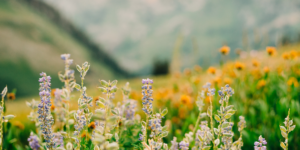 Funeral Home Resources