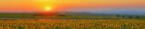 Funeral Home Resources Funeral Home Resources