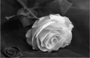 Funeral Home Resources