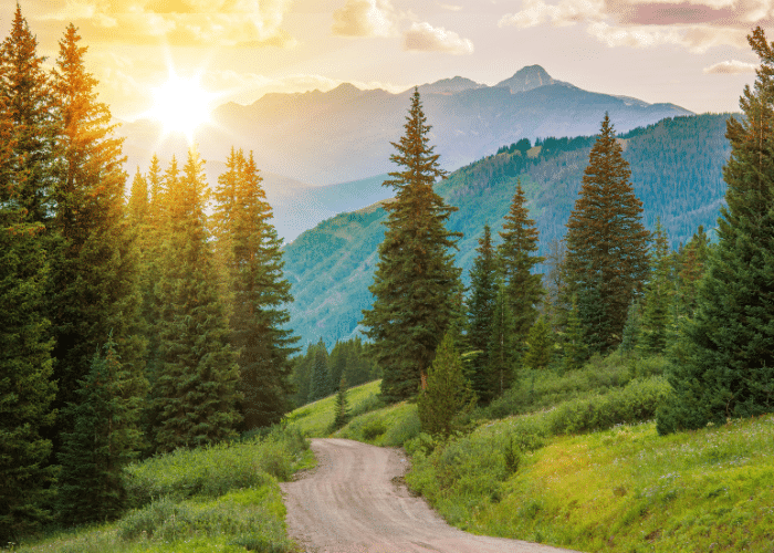 Mountains and trees